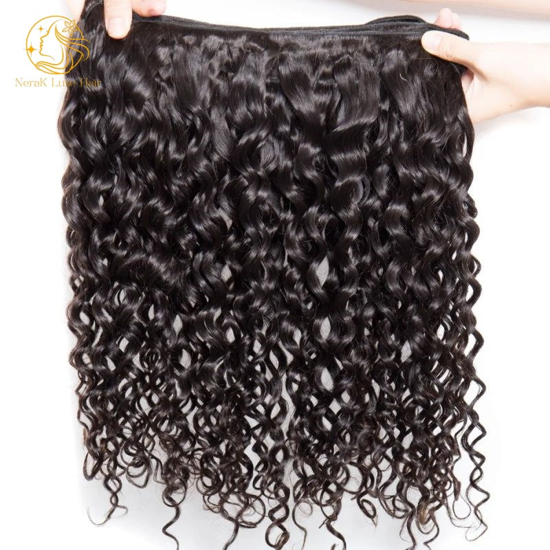 Raw Indian Curly Bundle
